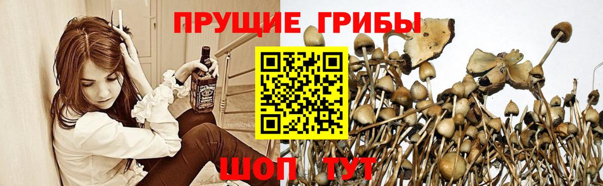 Печора  Галлюциногенные грибы прущие грибы  Псилоцибиновые грибы мухоморы  Вход с VPN 