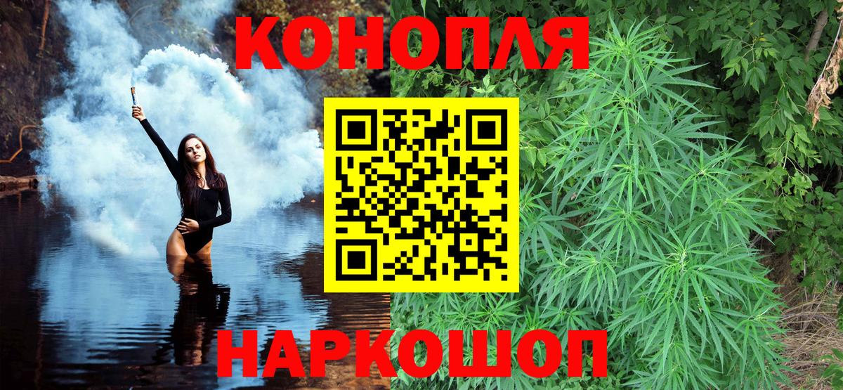 Конопля Bruce Banner Печора